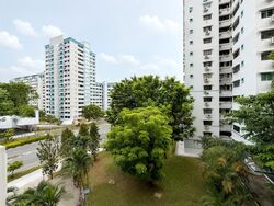 Blk 567 Hougang Street 51 (Hougang), HDB 4 Rooms #589388051